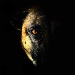 Meet your Posher, Bradley